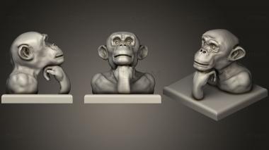 3D model Thinking Ape (STL)